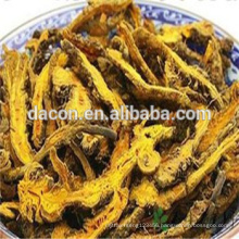 Rhizoma Coptidis Extract powder 97%